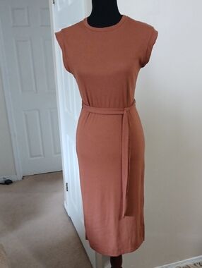 Alya Sleeveless Belted Midi Dress in Rust